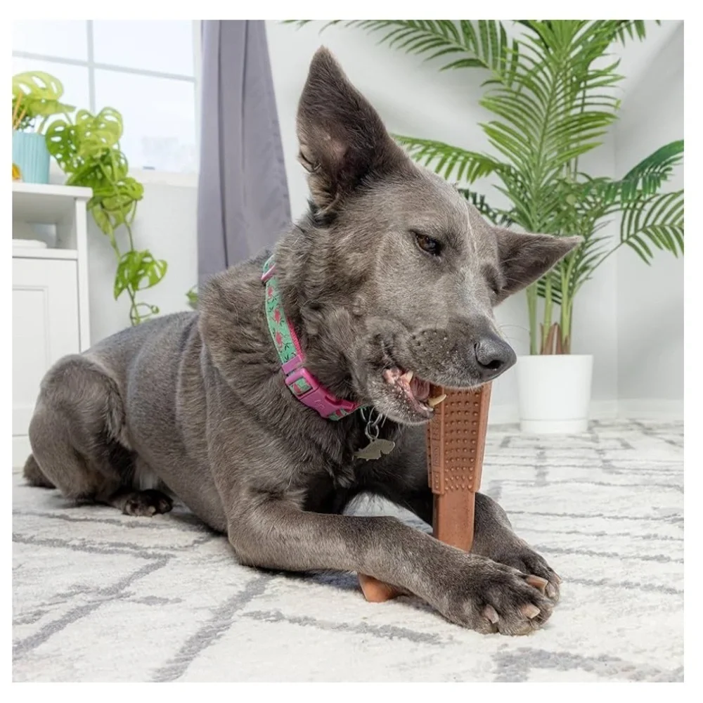 SPOT Bam-Bones PLUS Dog Chew Toy - Bamboo & Nylon, 4”, Peanut Butter Flavor- NWT